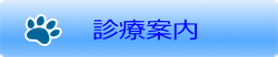 診療案内