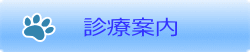 診療案内